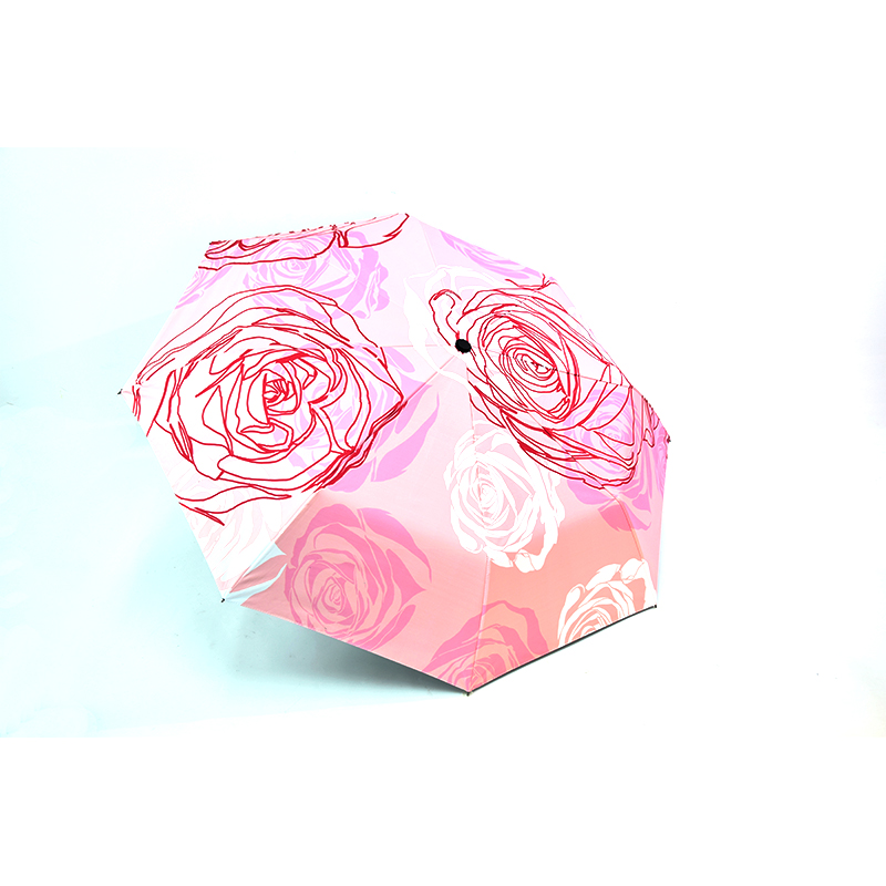 pink rose